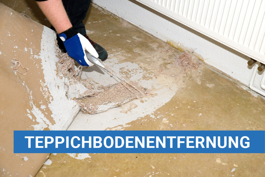 Der Ausmister Tapetenentfernung Teppichbodenentfernung Koblenz und Umgebung