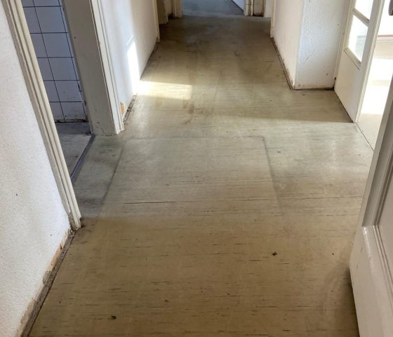 der ausmister leistungen-2